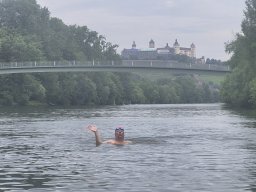 Mainschwimmen Juni 2026